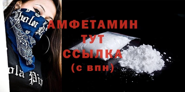 молекула духа Бородино