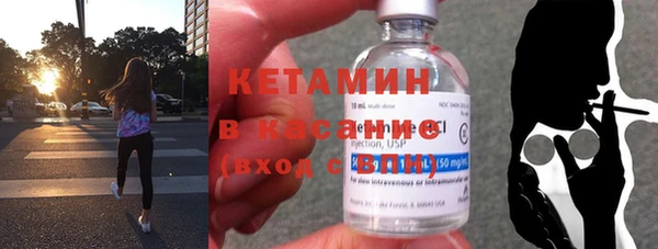 прущие грибы Бронницы