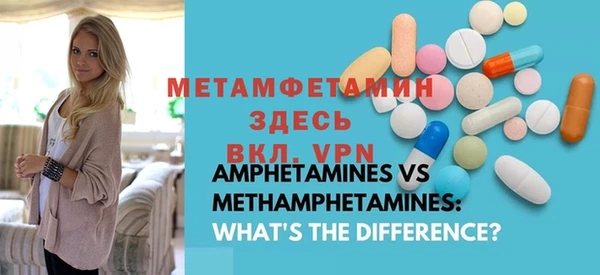 прущие грибы Бронницы