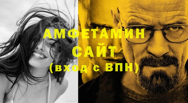 молекула духа Бородино