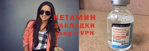 прущие грибы Бронницы