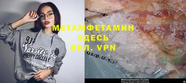 прущие грибы Бронницы