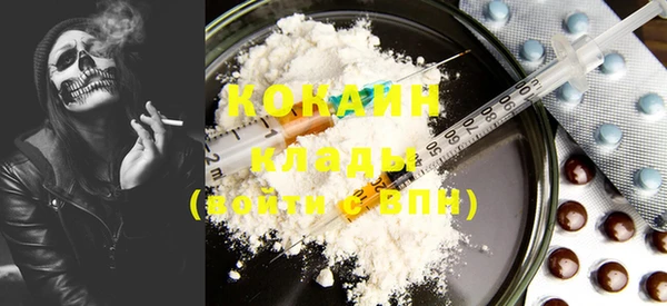прущие грибы Бронницы