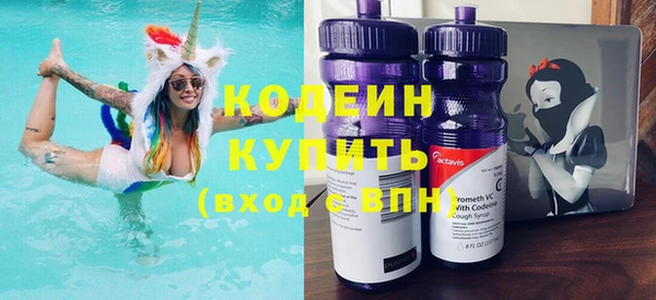 молекула духа Бородино