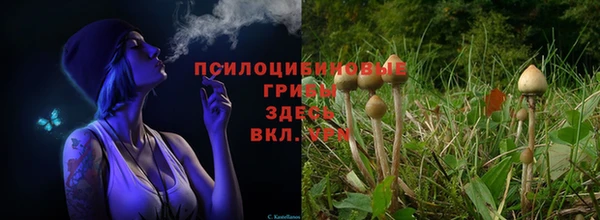 гашишное масло Богородицк
