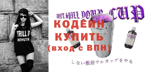 молекула духа Бородино