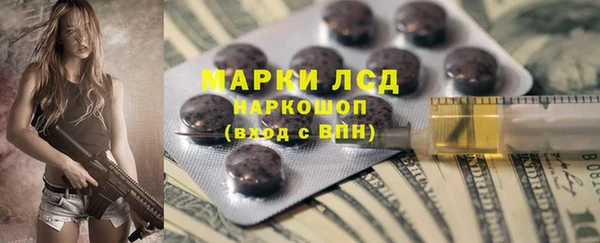 молекула духа Бородино