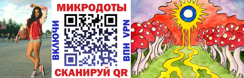 это Telegram  Межгорье  Псилоцибиновые грибы Cubensis 